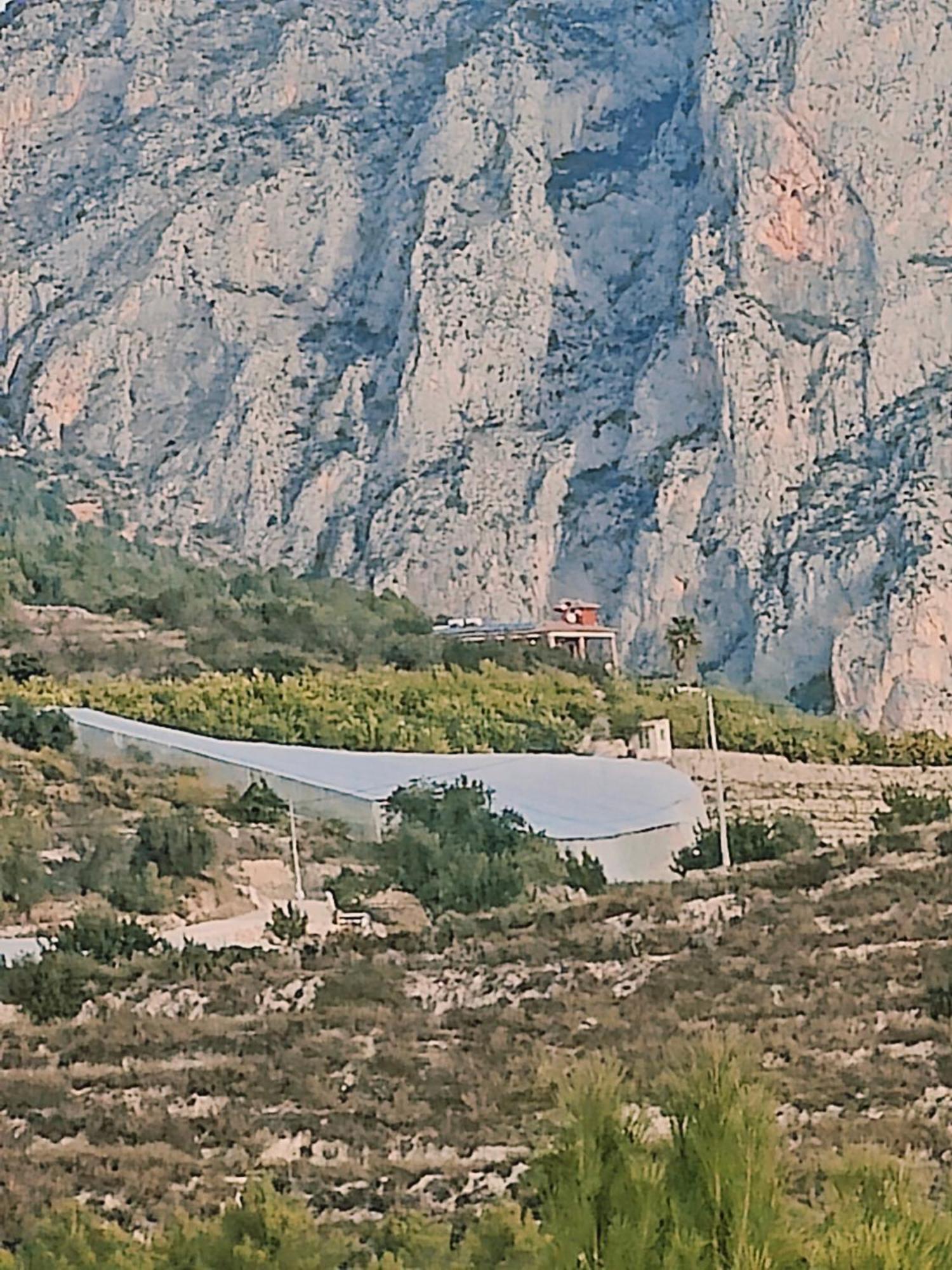 Finca Oliva Bolulla Bagian luar foto