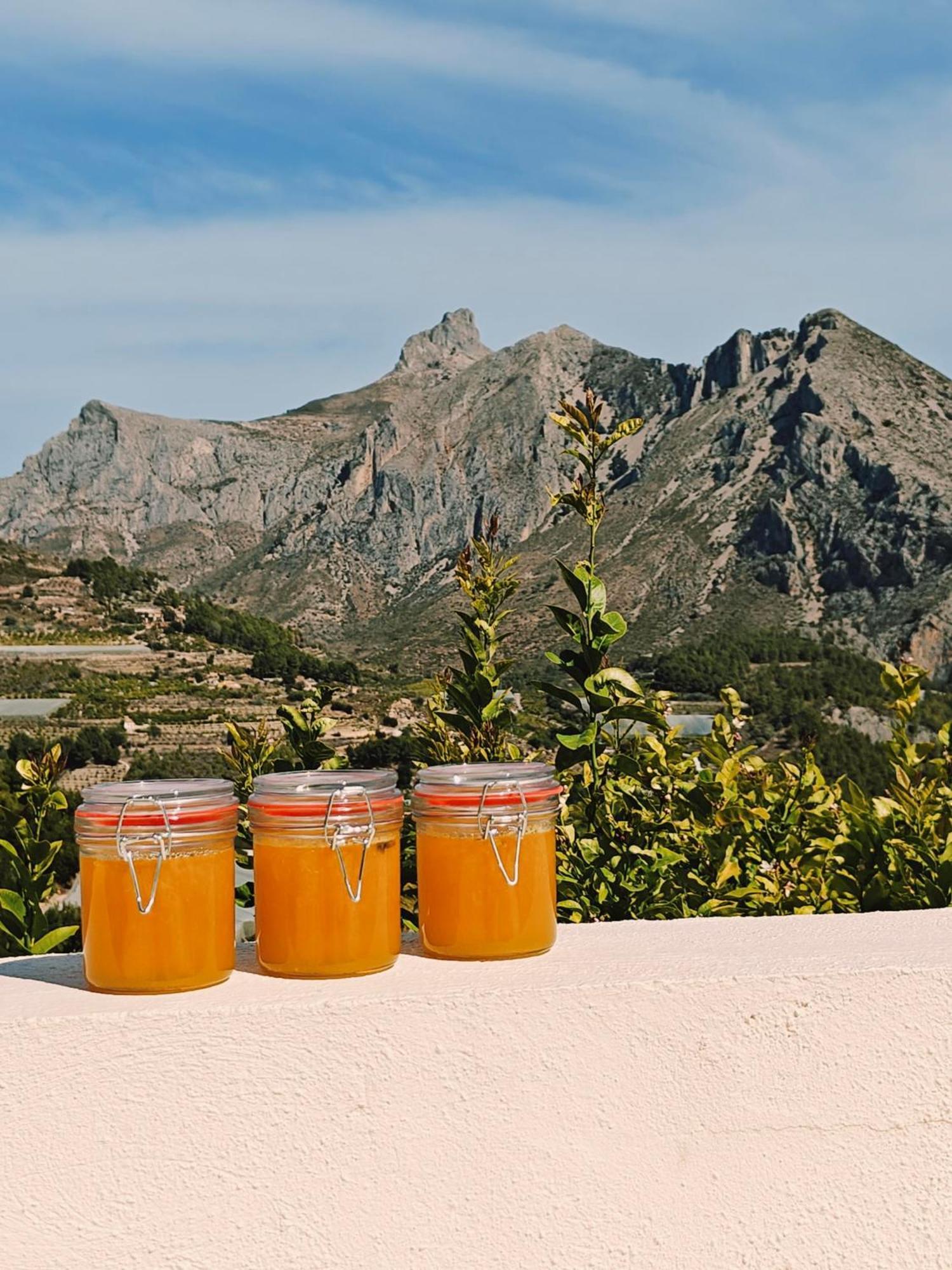 Finca Oliva Bolulla Bagian luar foto